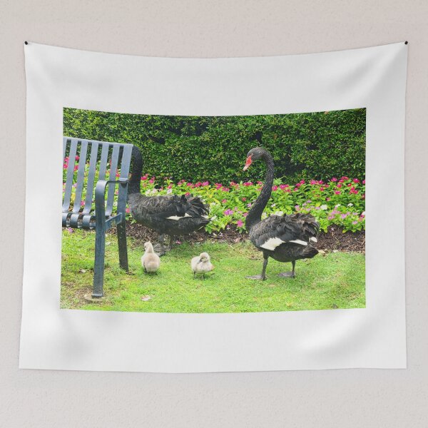 Item preview, Black Swans with Cygnets in Park designed and sold by LisaWootenPhoto.