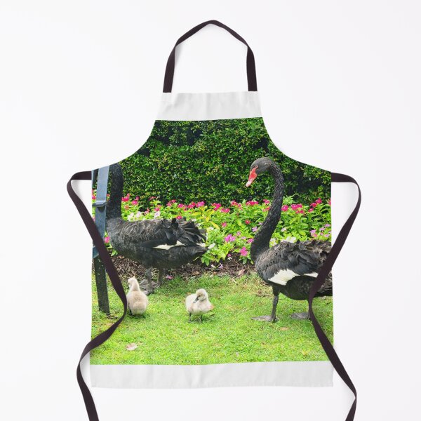 Item preview, Black Swans with Cygnets in Park designed and sold by LisaWootenPhoto.