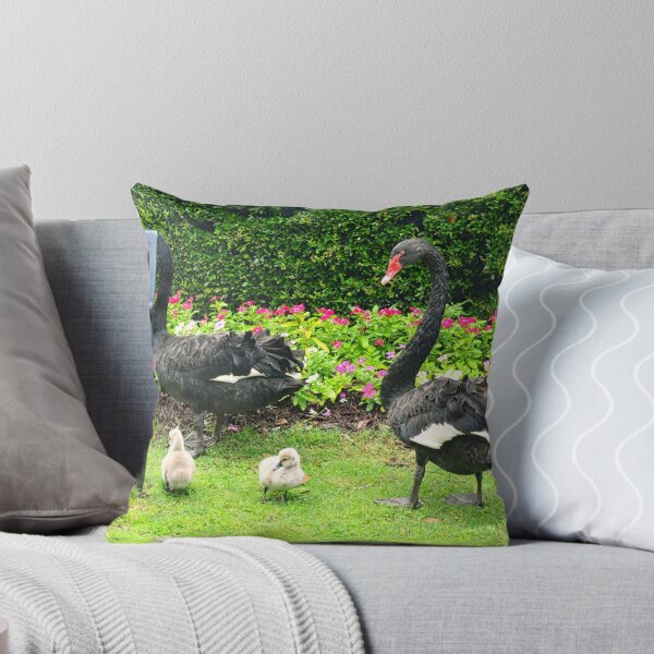 Item preview, Black Swans with Cygnets in Park designed and sold by LisaWootenPhoto.