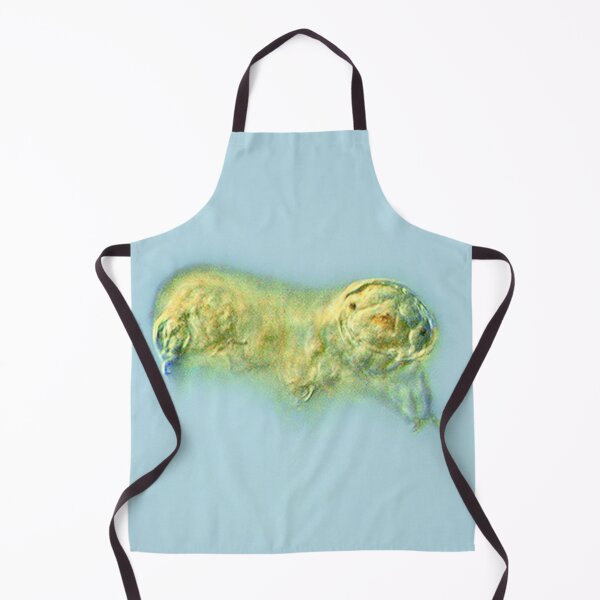 Item preview, ANIMAL designed and sold by myStudioVisual.