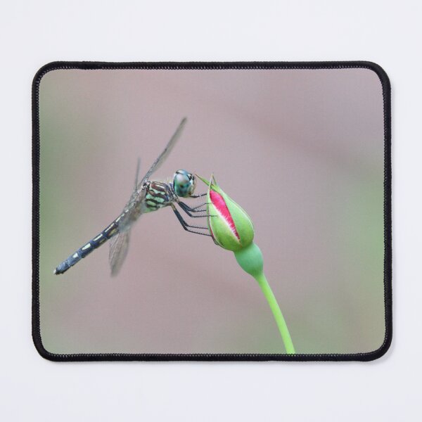 Item preview, Microphone for Bugs designed and sold by Olivia Plasencia.
