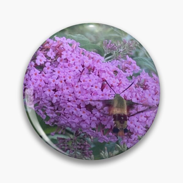 Item preview, Hummingbird moth designed and sold by littlezoo317.