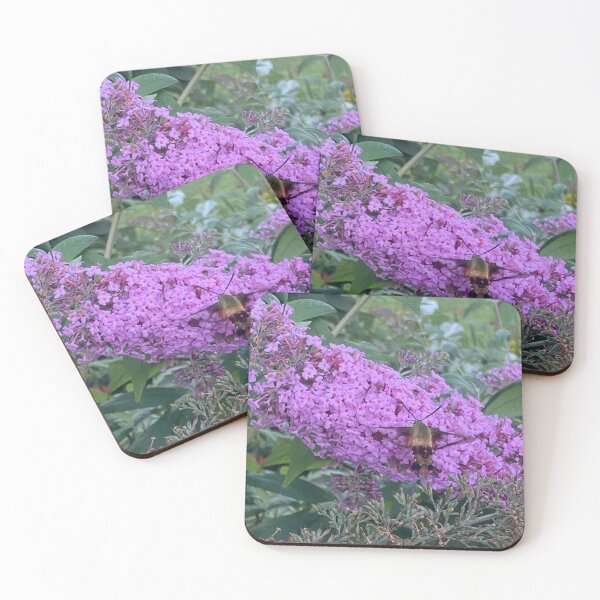 Item preview, Hummingbird moth designed and sold by littlezoo317.