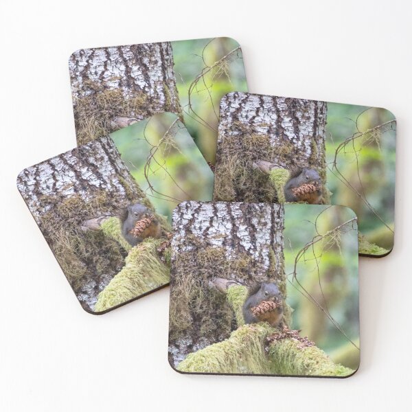 Item preview, Squirrel Lunch designed and sold by TinyDinoDesigns.