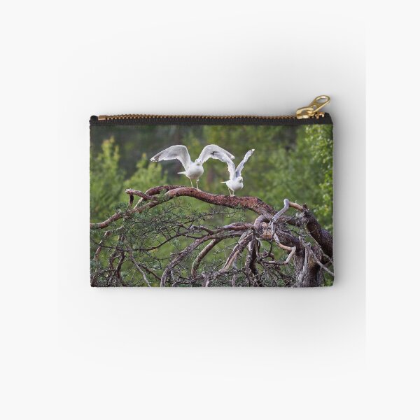 Item preview, Ready stedy go. European herring gull designed and sold by Jouko Lehto Photography.