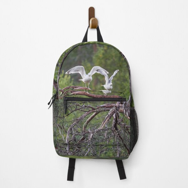 Item preview, Ready stedy go. European herring gull designed and sold by Jouko Lehto Photography.