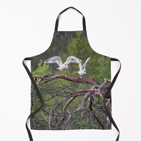 Item preview, Ready stedy go. European herring gull designed and sold by Jouko Lehto Photography.