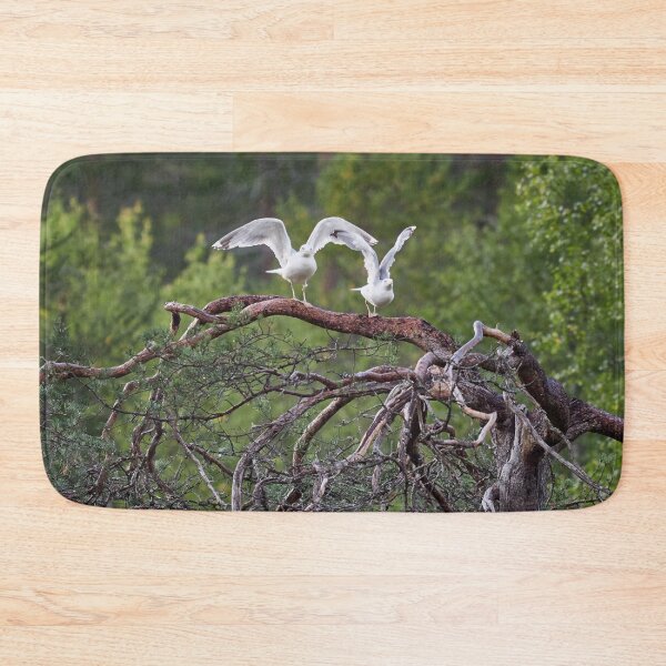 Item preview, Ready stedy go. European herring gull designed and sold by Jouko Lehto Photography.
