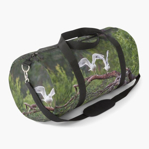 Item preview, Ready stedy go. European herring gull designed and sold by Jouko Lehto Photography.