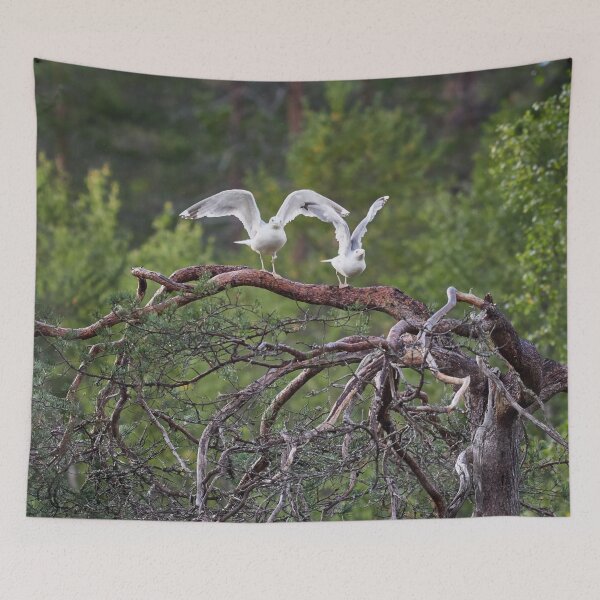Item preview, Ready stedy go. European herring gull designed and sold by Jouko Lehto Photography.