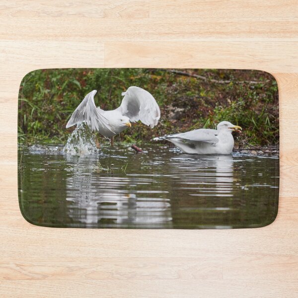 Item preview, Splash. European herring gull designed and sold by Jouko Lehto Photography.