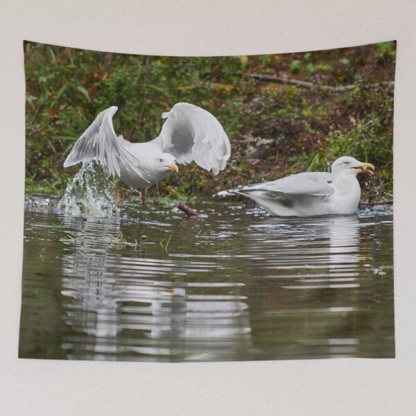 Item preview, Splash. European herring gull designed and sold by Jouko Lehto Photography.