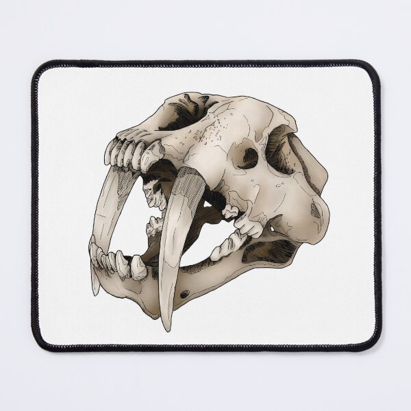 Item preview, Saber-Toothed Cat Skull designed and sold by Moon Dog Art.