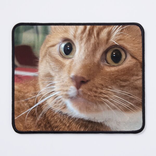 Item preview, The Look of Concern designed and sold by The Upsy & Rascals Co..