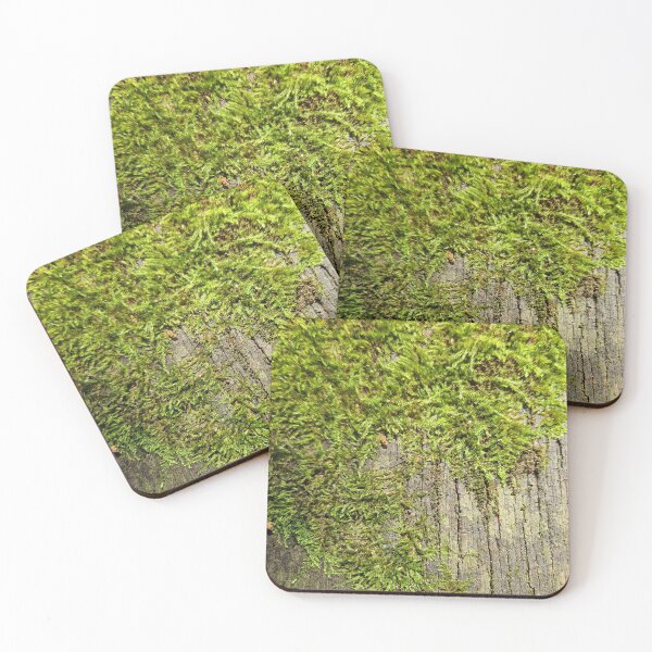 Item preview, Moss-covered bench designed and sold by KittyLinka.