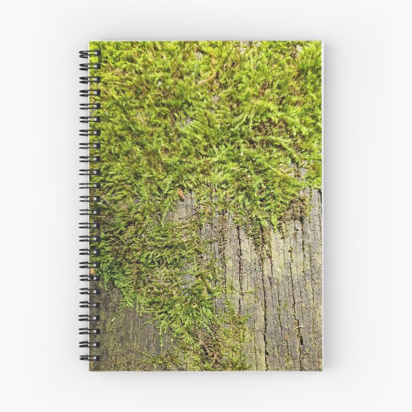 Item preview, Moss-covered bench designed and sold by KittyLinka.