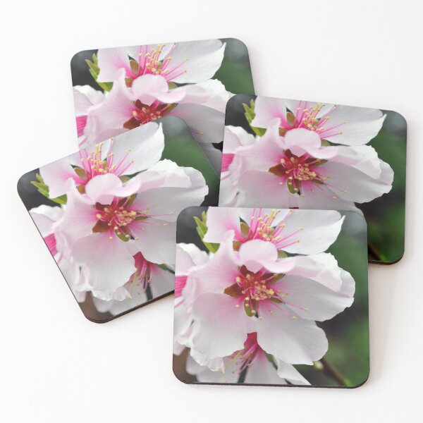 Item preview, Almond Blossoms designed and sold by AffeldtImages.