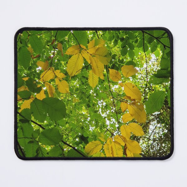 Item preview, When summer and autumn meet designed and sold by KittyLinka.