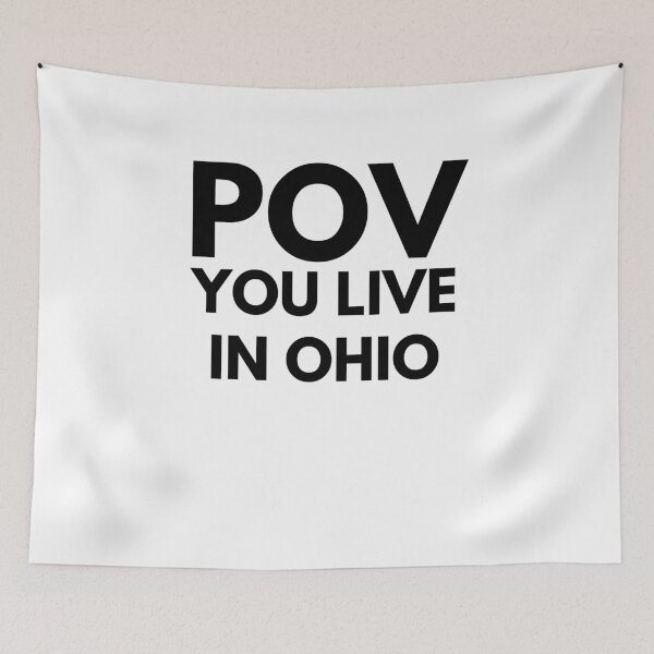 Item preview, POV you live in Ohio funny Ohio humor trendy designed and sold by snowry.