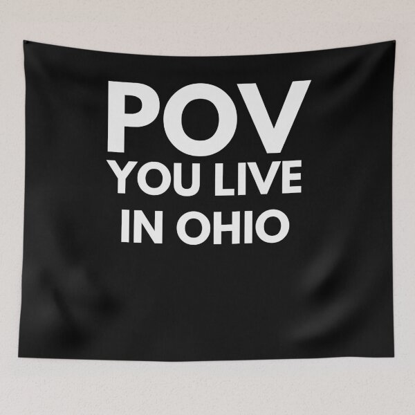 Item preview, POV you live in Ohio funny Ohio humor trendy Ohio lover designed and sold by snowry.
