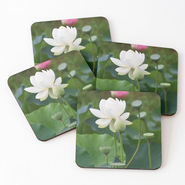 Item preview, Sacred Lotus Flower designed and sold by AffeldtImages.