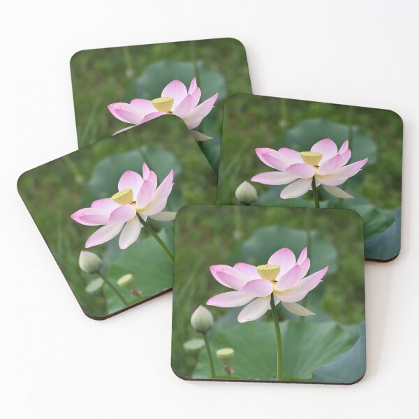 Item preview, Pink Sacred Lotus Flower designed and sold by AffeldtImages.