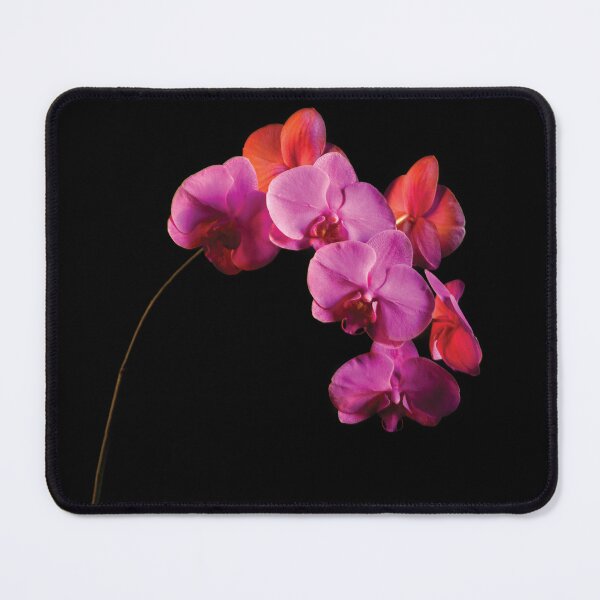 Item preview, Graceful bloom exuding exotic charm and serenity designed and sold by DHowland1.
