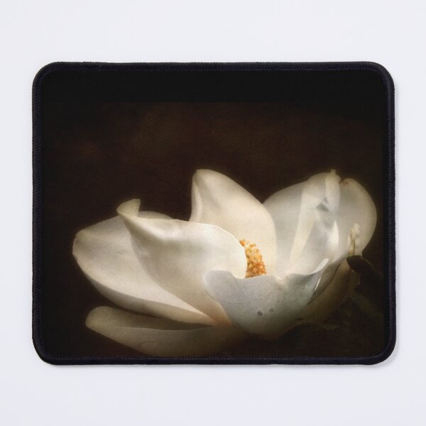 Artikelvorschau, Klassische Magnolienblüte mit nostalgischem Charme entworfen und verkauft von DHowland1.