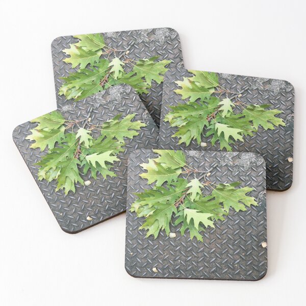 Item preview, Branch of Oak Leaves on a Metal Grate designed and sold by AffeldtImages.