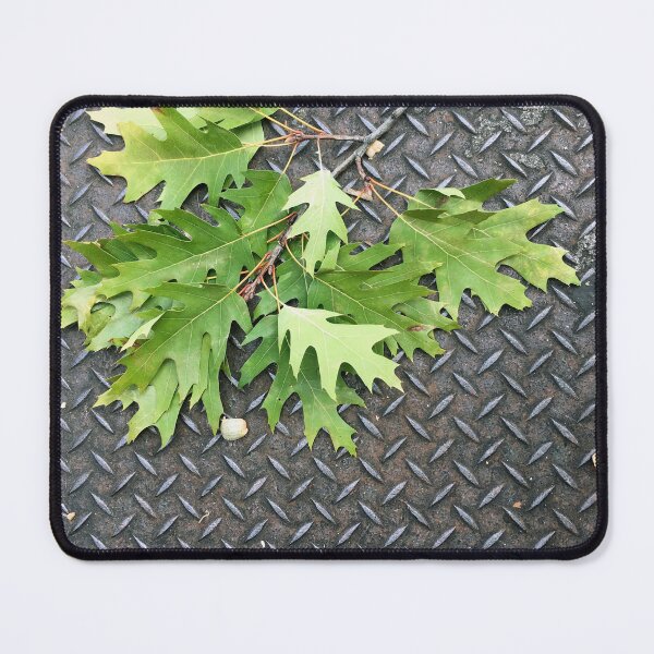 Item preview, Branch of Oak Leaves on a Metal Grate designed and sold by AffeldtImages.