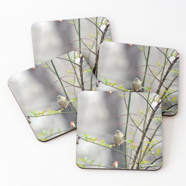 Item preview, Ruby-Crowned Kinglet, Atlanta designed and sold by AffeldtImages.