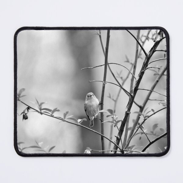 Item preview, Ruby-Crowned Kinglet, Atlanta designed and sold by AffeldtImages.
