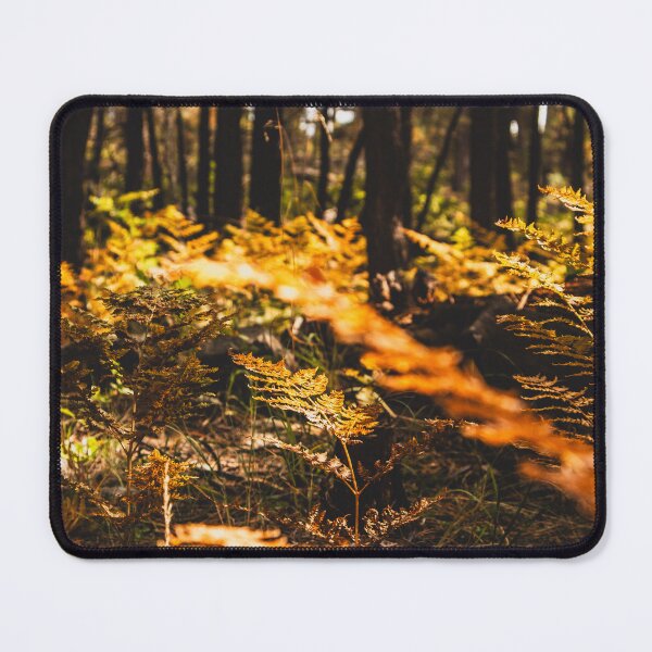 Item preview, Golden Ferns in Arizona Forest Light designed and sold by MultimediabyLynz.