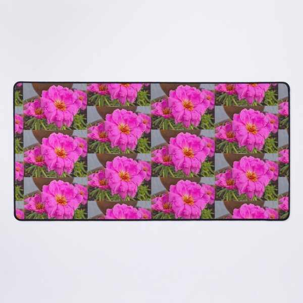 Item preview, Portulaca Pilosa designed and sold by Betsy Phillips.