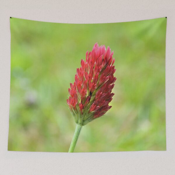 Item preview, Blood Red designed and sold by What I See by Dawne.