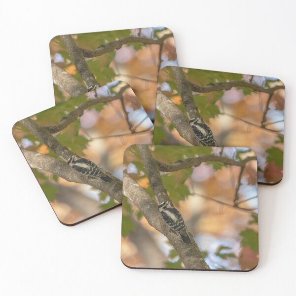 Item preview, Downy Woodpecker in NC Fall Mountain in Lake Lure designed and sold by ncNatureVisions.
