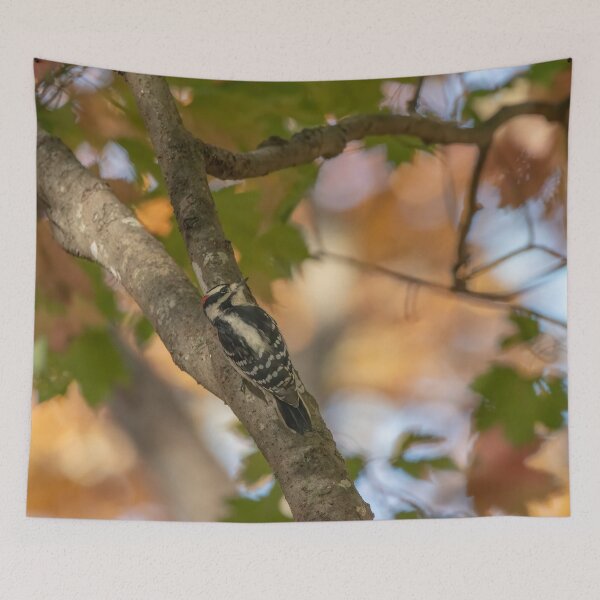 Item preview, Downy Woodpecker in NC Fall Mountain in Lake Lure designed and sold by ncNatureVisions.
