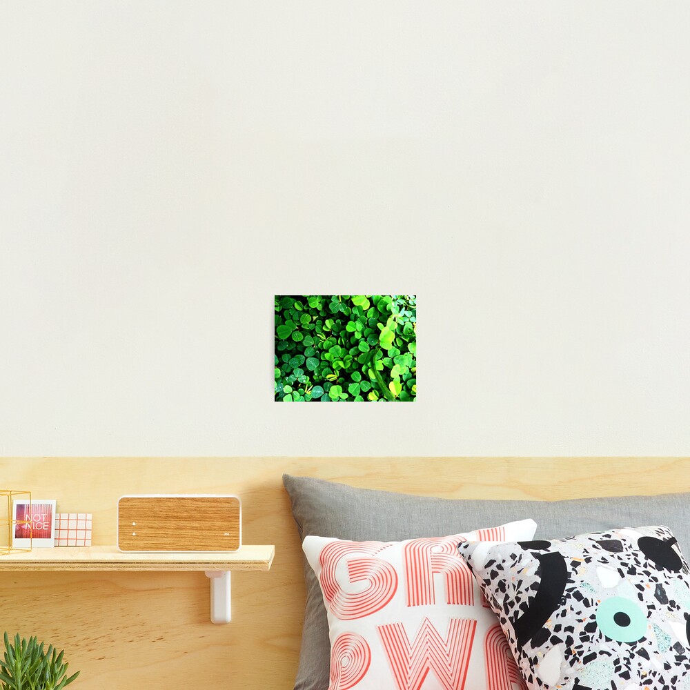 Item preview, Photographic Print designed and sold by Fortunately01.