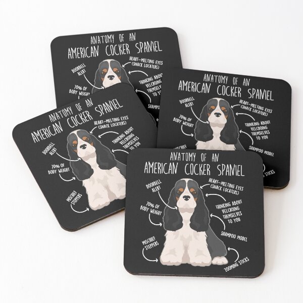 Item preview, Black White and Tan American Cocker Spaniel Dog Anatomy designed and sold by Clara Hollins.