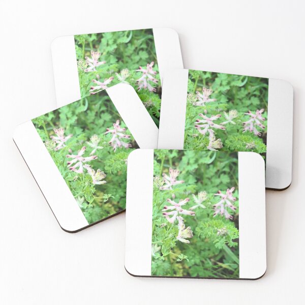 Item preview, Wildflower 2025 designed and sold by Danni's Delights.