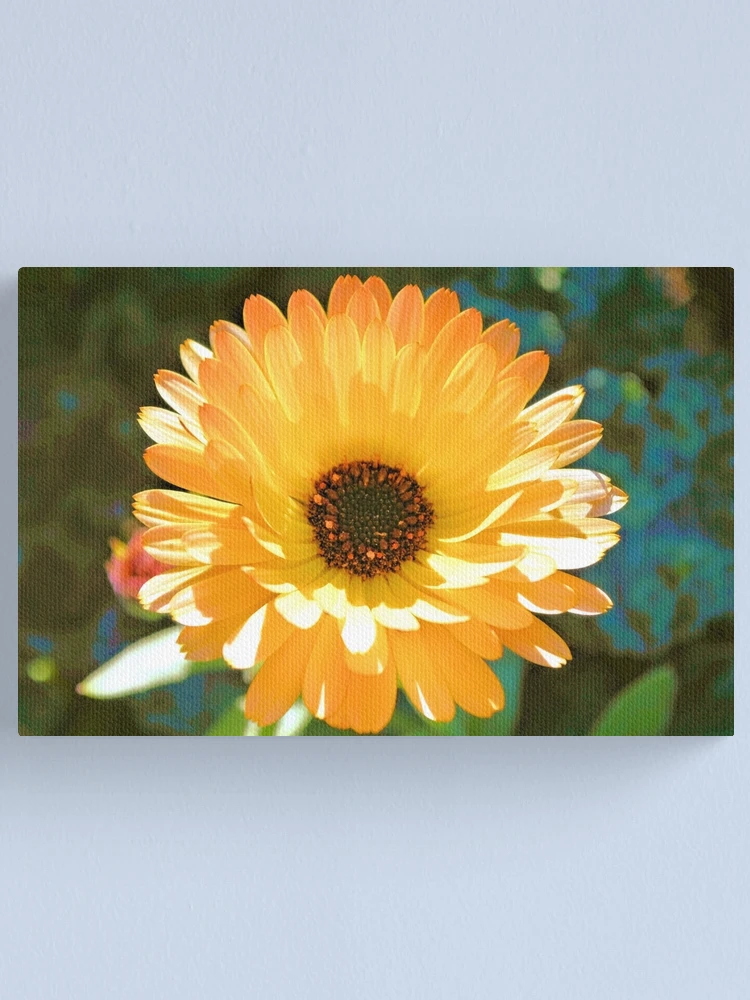 Imagen 1 de 3, Lienzo con la obra English Marigold, diseñada y vendida por What I See by Dawne.