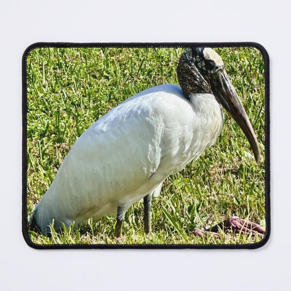 Item preview, The Wood Stork by Pamela Storch designed and sold by Pamela Storch.