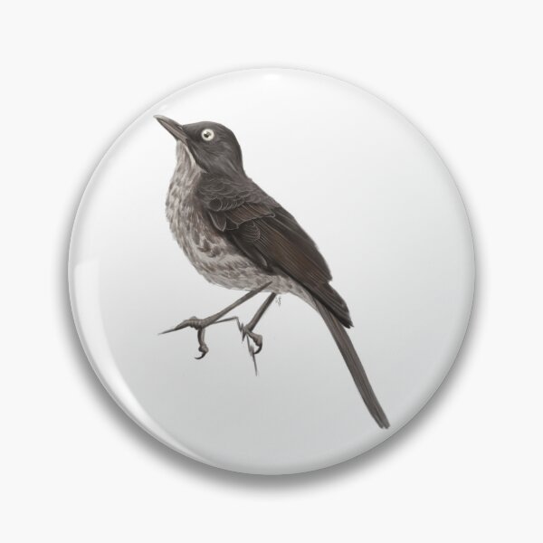 Item preview, Pearly-Eyed Thrasher Illustration designed and sold by TiaGorczany.