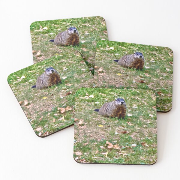 Item preview, Groundhog in Autumn by Pamela Storch designed and sold by Pamela Storch.