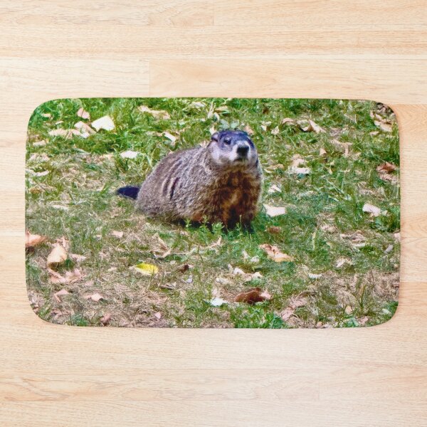 Item preview, Groundhog in Autumn by Pamela Storch designed and sold by Pamela Storch.