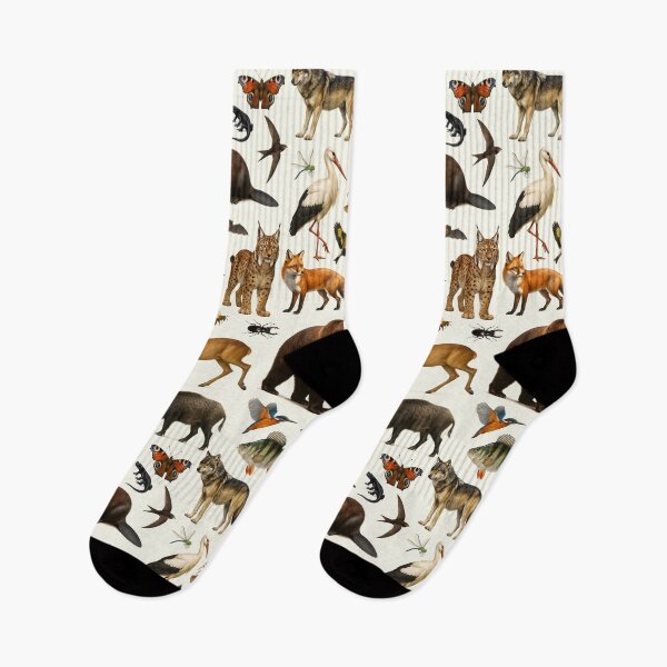 Item preview, Animals of Central Europe Retro Illustration Wildlife Chart designed and sold by kakarikihill.