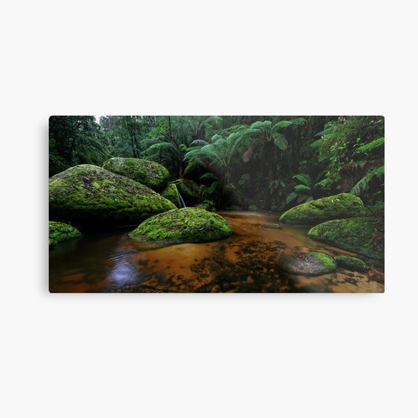 Toorongo Tannins Metal Print