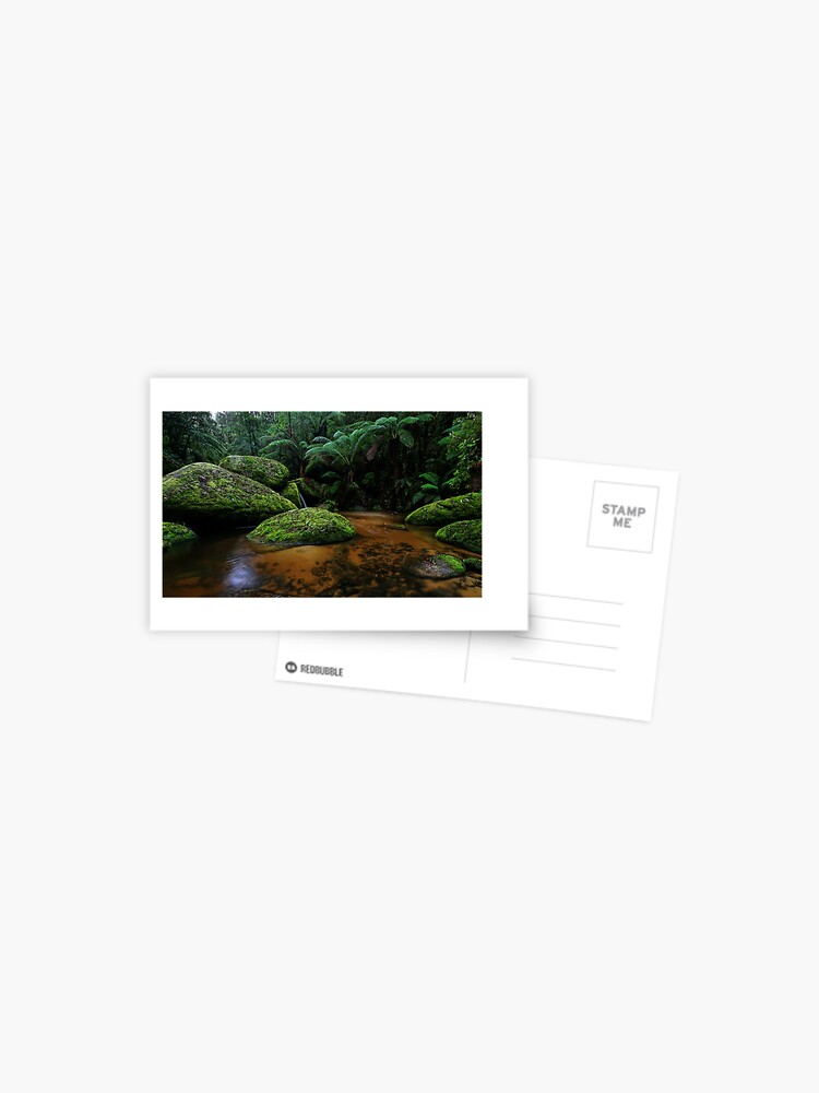 Thumbnail 1 of 2, Postcard, Toorongo Tannins designed and sold by Robsteriography.