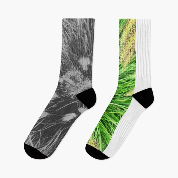 Item preview, Ornamental Grass Stalks Pattern Split color / greyscale designed and sold by Dryft7.