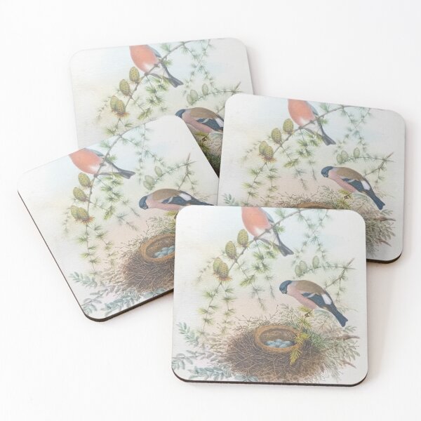 Item preview, Redesign British Bird Plate images By Miss K L Slomczynski designed and sold by KABFA Designs.
